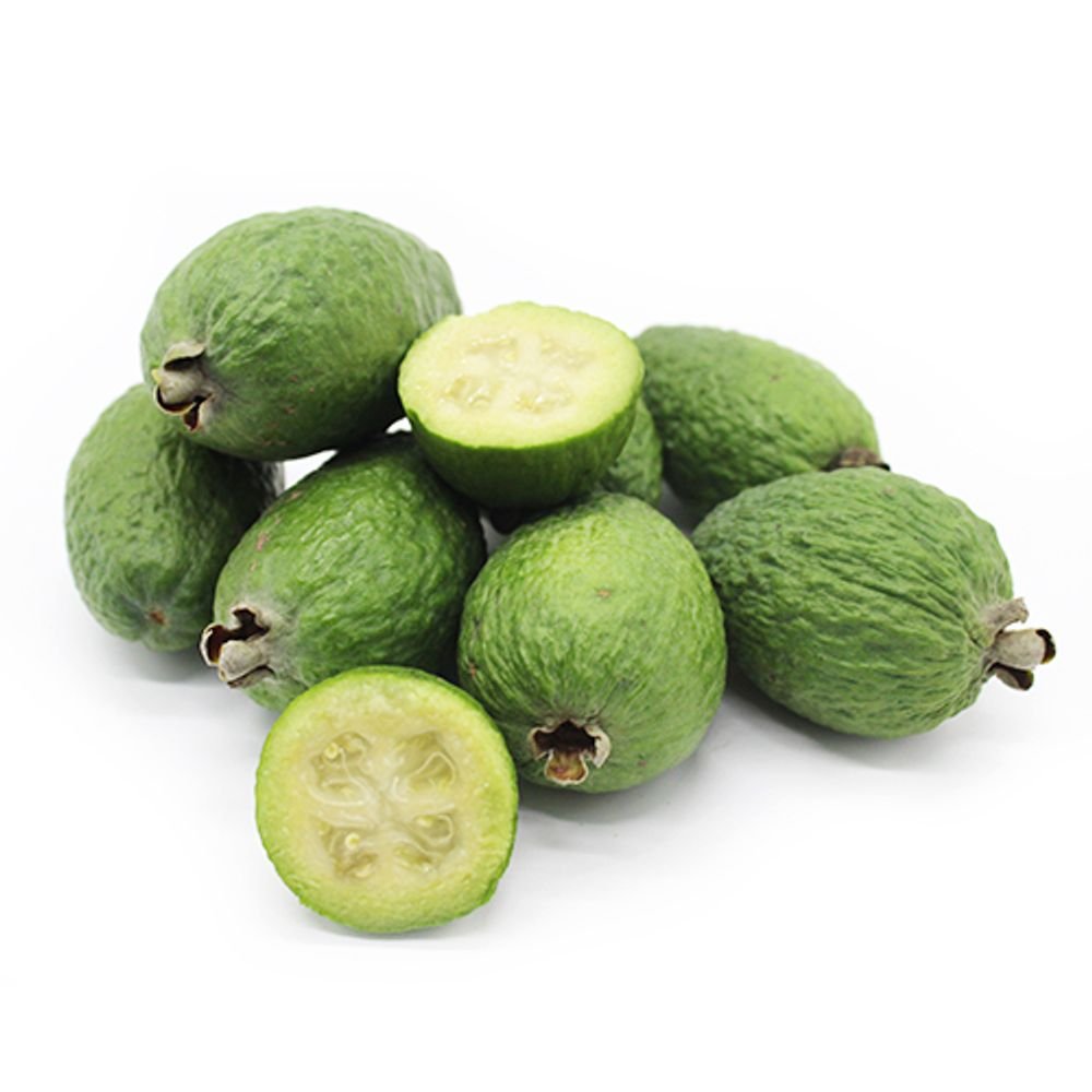 Feijoa Grande