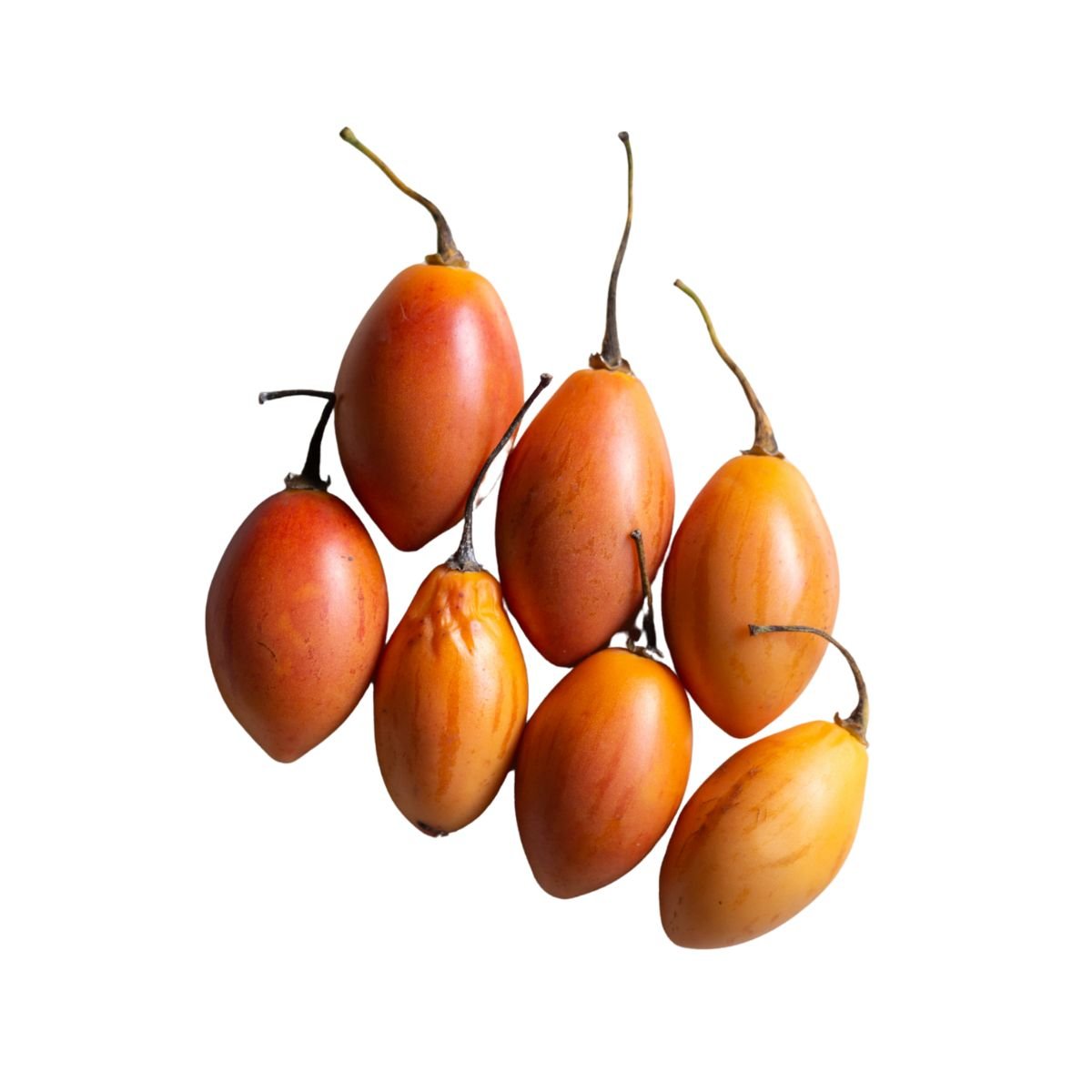 Tomate Grande